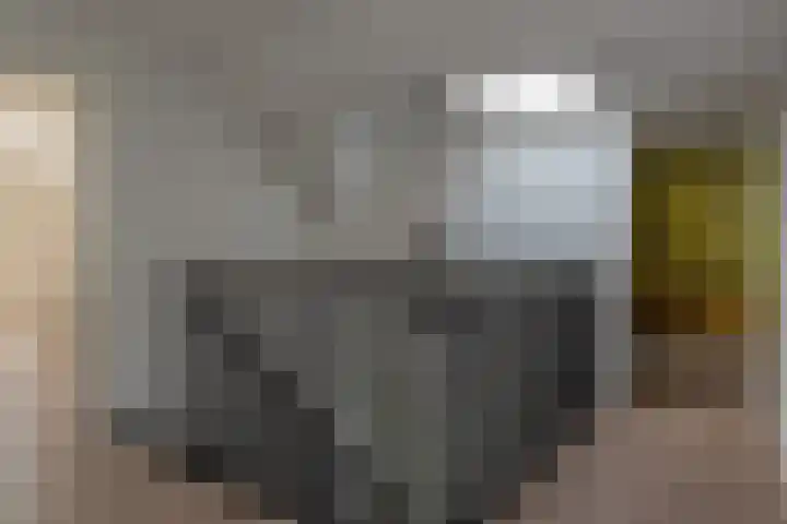 Kleine Woldweg 10 A Oosterwolde Gld thumbnail 53