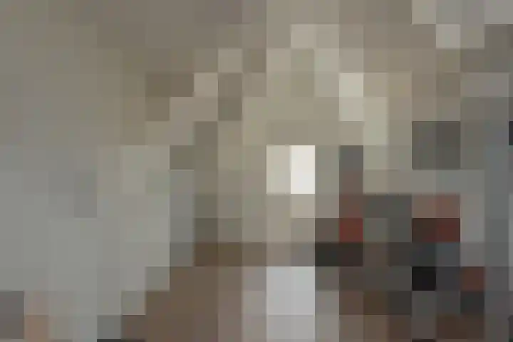 Kleine Woldweg 10 A Oosterwolde Gld thumbnail 58