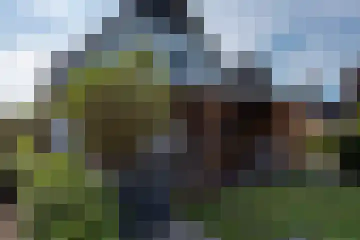 Kleine Woldweg 10 A Oosterwolde Gld thumbnail 67