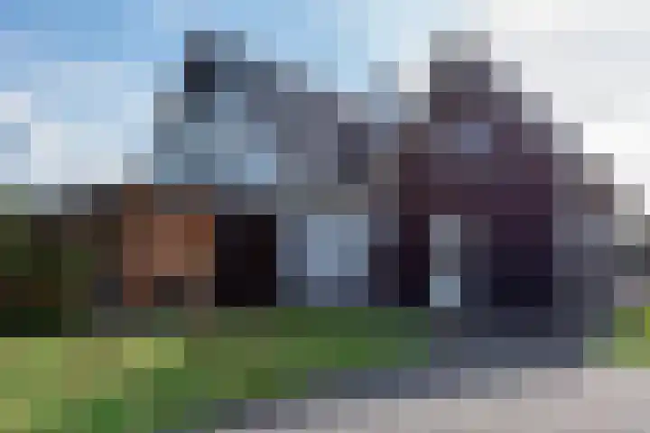 Kleine Woldweg 10 A Oosterwolde Gld thumbnail 68
