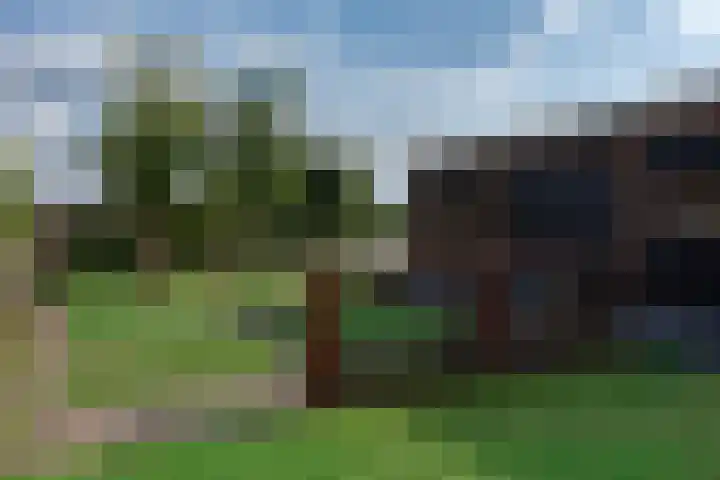 Kleine Woldweg 10 A Oosterwolde Gld thumbnail 73