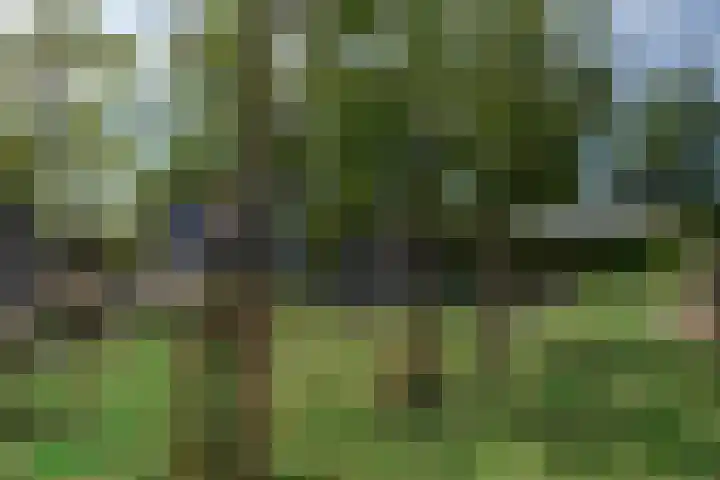 Kleine Woldweg 10 A Oosterwolde Gld thumbnail 74