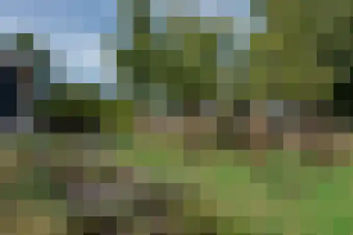 Kleine Woldweg 10 A Oosterwolde Gld thumbnail 75