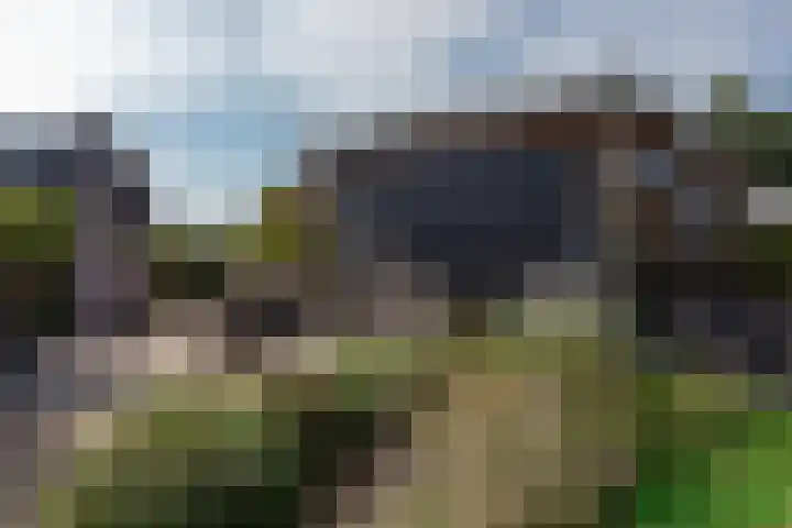 Kleine Woldweg 10 A Oosterwolde Gld thumbnail 77