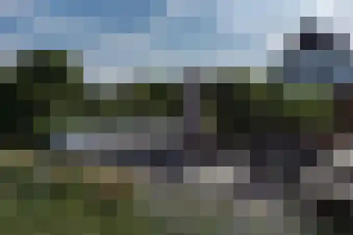 Kleine Woldweg 10 A Oosterwolde Gld thumbnail 80