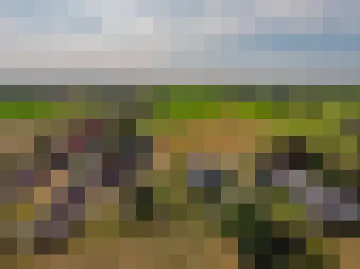 Kleine Woldweg 10 A Oosterwolde Gld thumbnail 82