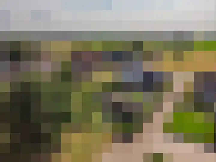 Kleine Woldweg 10 A Oosterwolde Gld thumbnail 83