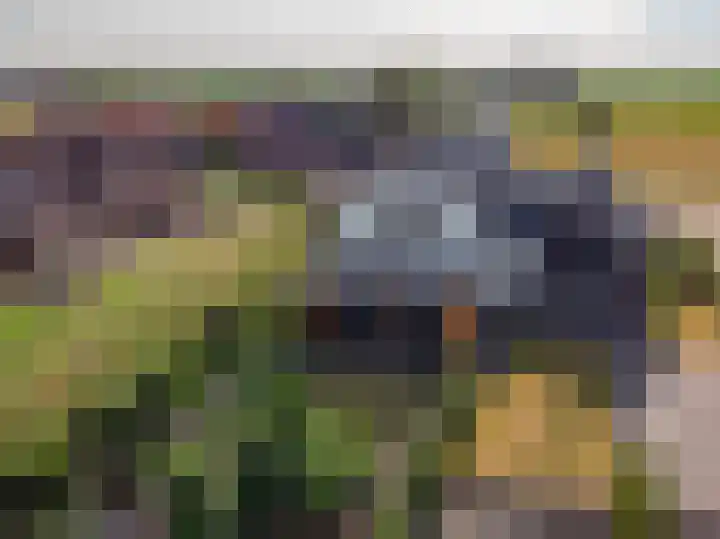 Kleine Woldweg 10 A Oosterwolde Gld thumbnail 84