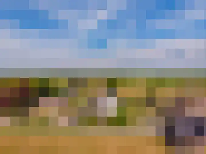 Kleine Woldweg 10 A Oosterwolde Gld thumbnail 85