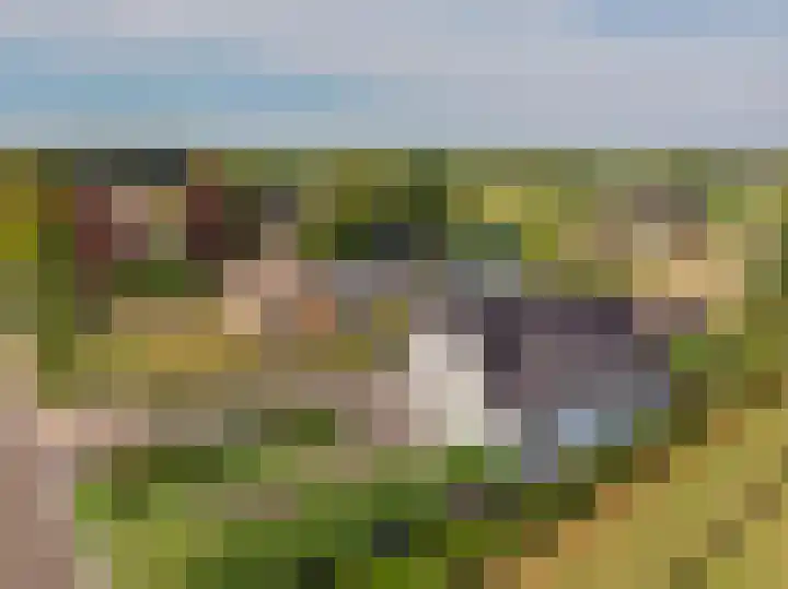 Kleine Woldweg 10 A Oosterwolde Gld thumbnail 86