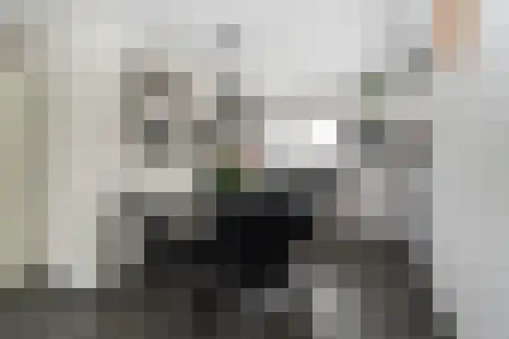 Kleine Zilverreiger 10 Wildervank thumbnail 10
