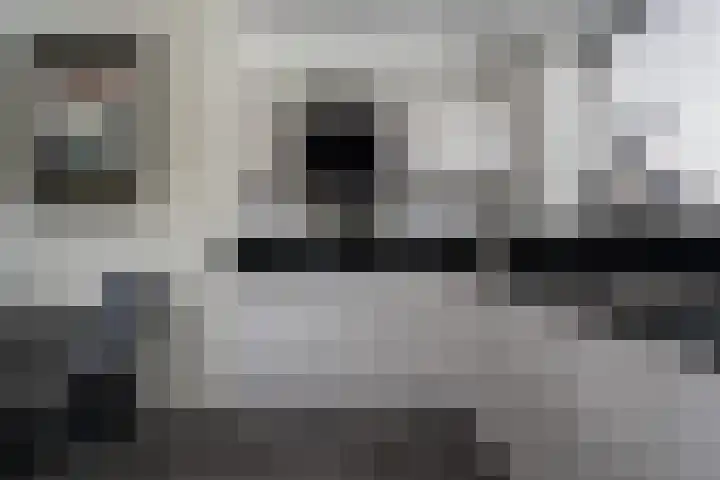 Kleine Zilverreiger 10 Wildervank thumbnail 11