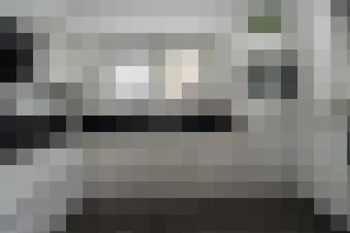 Kleine Zilverreiger 10 Wildervank thumbnail 12