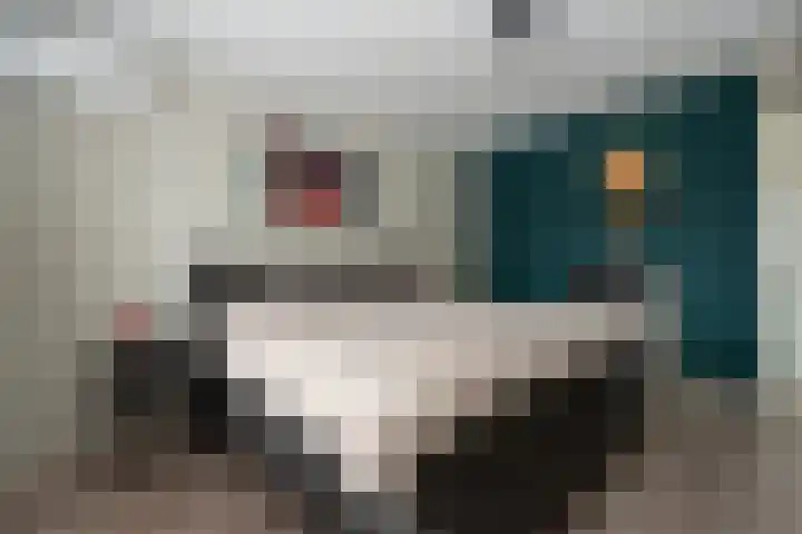 Kleine Zilverreiger 10 Wildervank thumbnail 16
