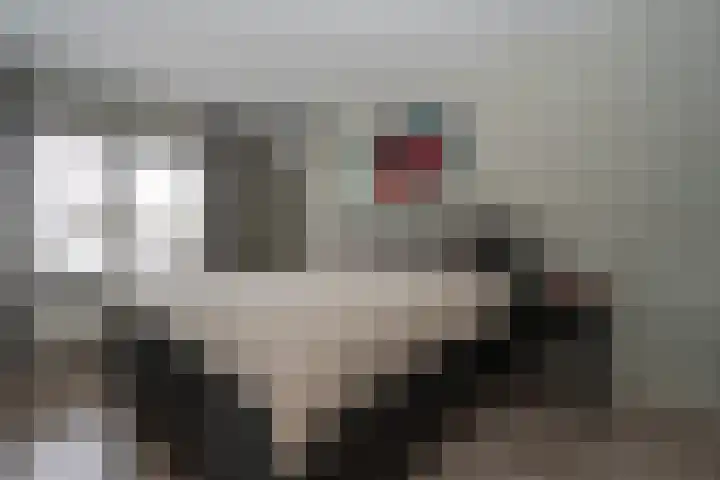 Kleine Zilverreiger 10 Wildervank thumbnail 17