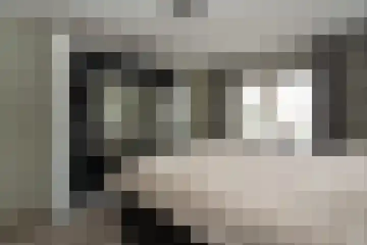 Kleine Zilverreiger 10 Wildervank thumbnail 18