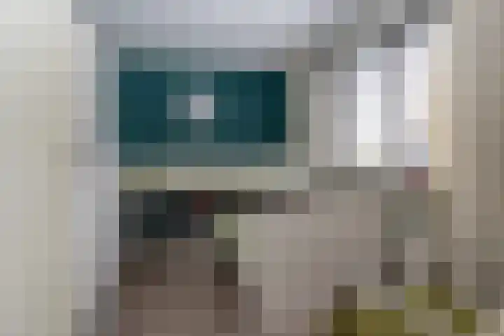 Kleine Zilverreiger 10 Wildervank thumbnail 19