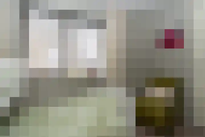 Kleine Zilverreiger 10 Wildervank thumbnail 20