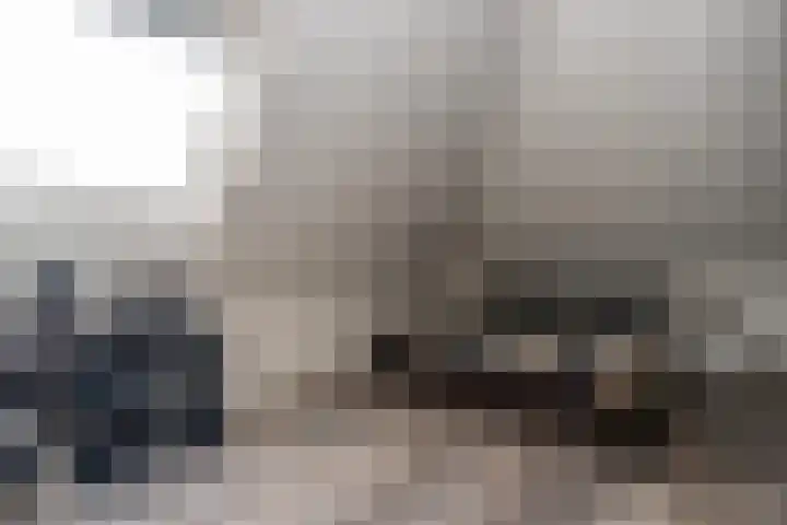 Kleine Zilverreiger 10 Wildervank thumbnail 25