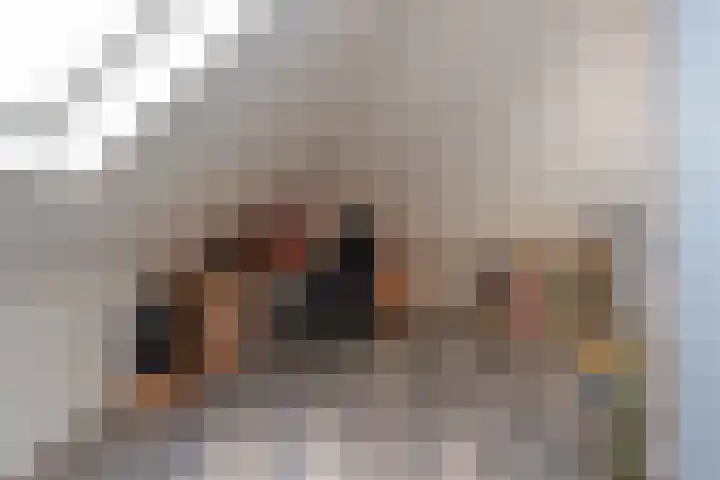 Kleine Zilverreiger 10 Wildervank thumbnail 29