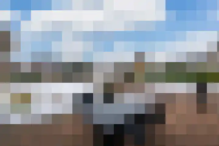 Kleine Zilverreiger 10 Wildervank thumbnail 32