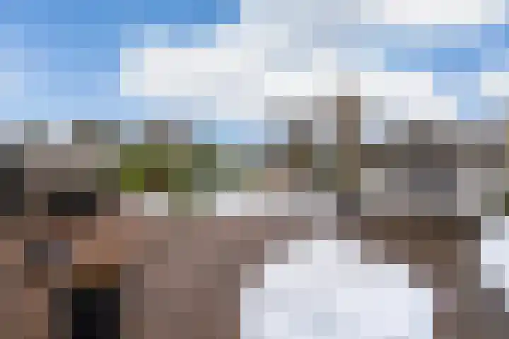 Kleine Zilverreiger 10 Wildervank thumbnail 33