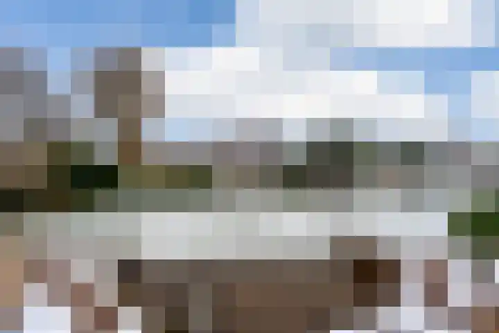 Kleine Zilverreiger 10 Wildervank thumbnail 34