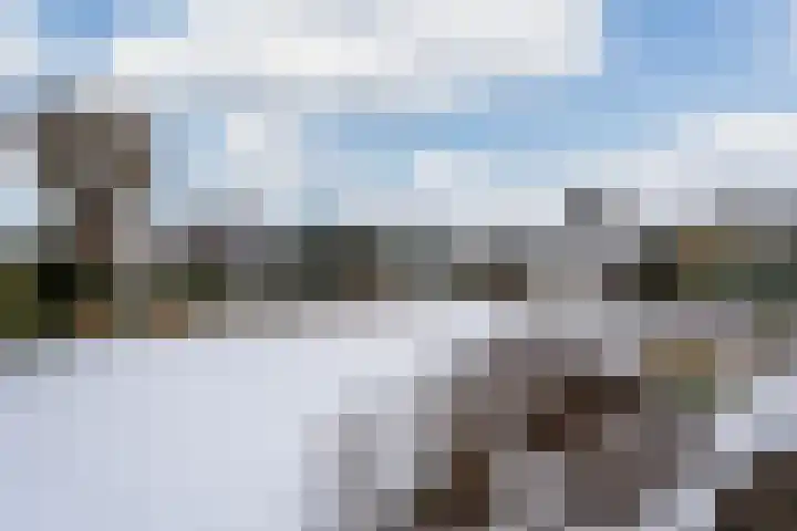 Kleine Zilverreiger 10 Wildervank thumbnail 35