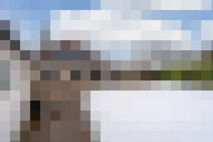 Kleine Zilverreiger 10 Wildervank thumbnail 36