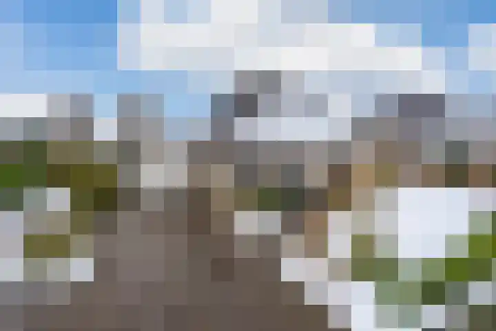 Kleine Zilverreiger 10 Wildervank thumbnail 37
