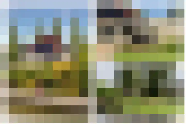 Kleine Zilverreiger 10 Wildervank thumbnail 38