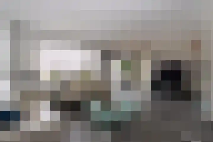 Kleine Zilverreiger 10 Wildervank thumbnail 4