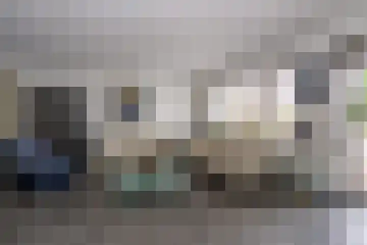 Kleine Zilverreiger 10 Wildervank thumbnail 5