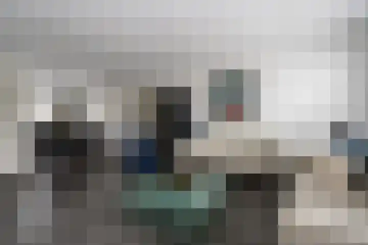Kleine Zilverreiger 10 Wildervank thumbnail 6