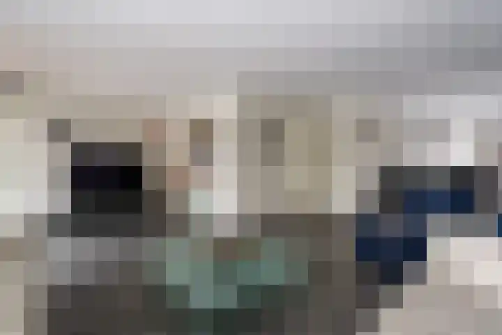 Kleine Zilverreiger 10 Wildervank thumbnail 7