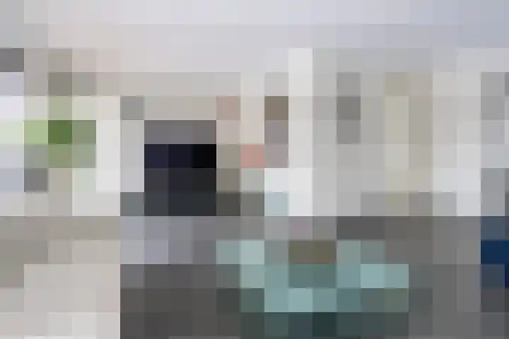 Kleine Zilverreiger 10 Wildervank thumbnail 8