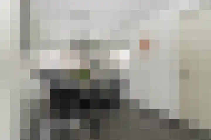 Kleine Zilverreiger 10 Wildervank thumbnail 9