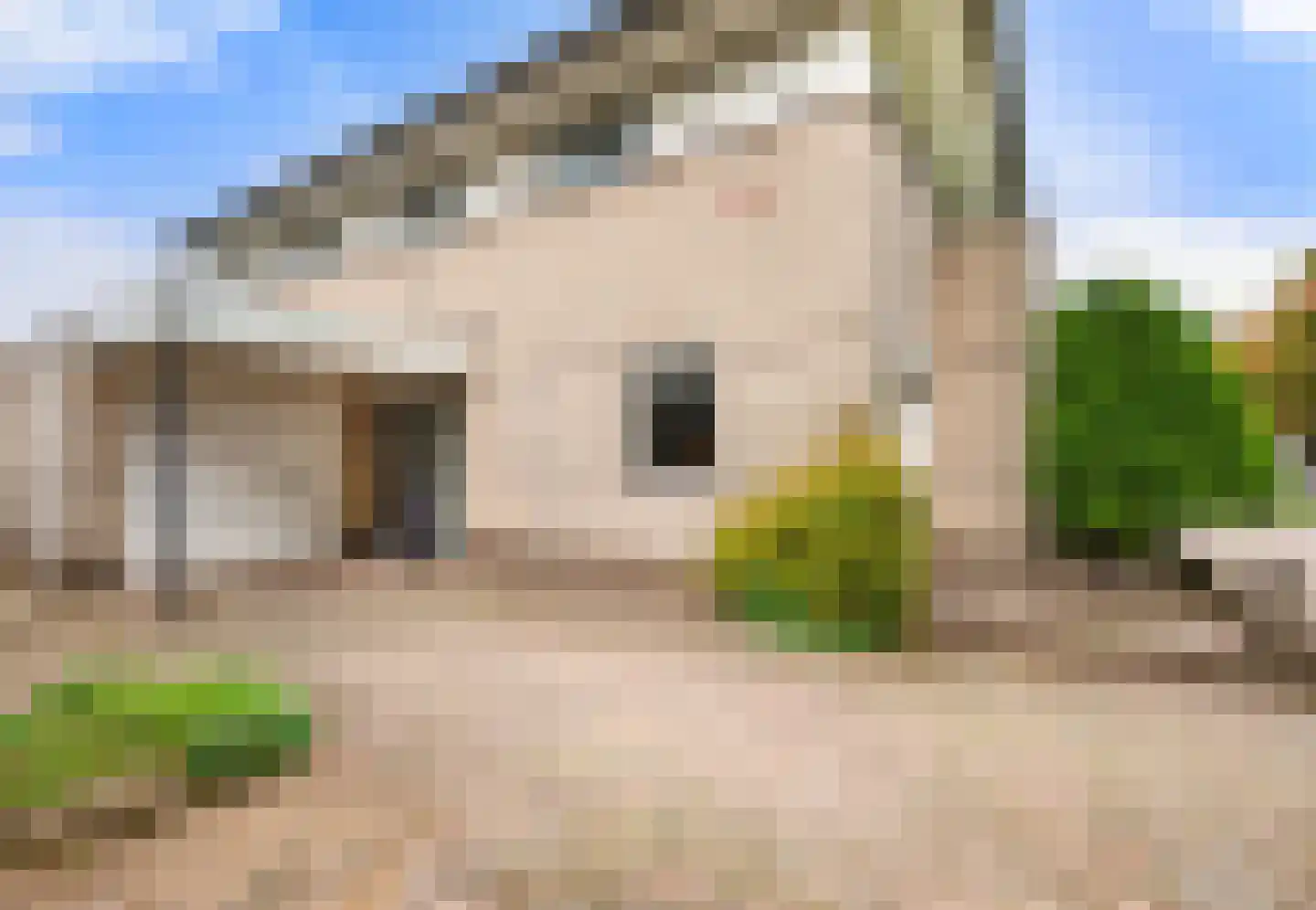 Kleine Zonnedauw 3 Velserbroek thumbnail 11