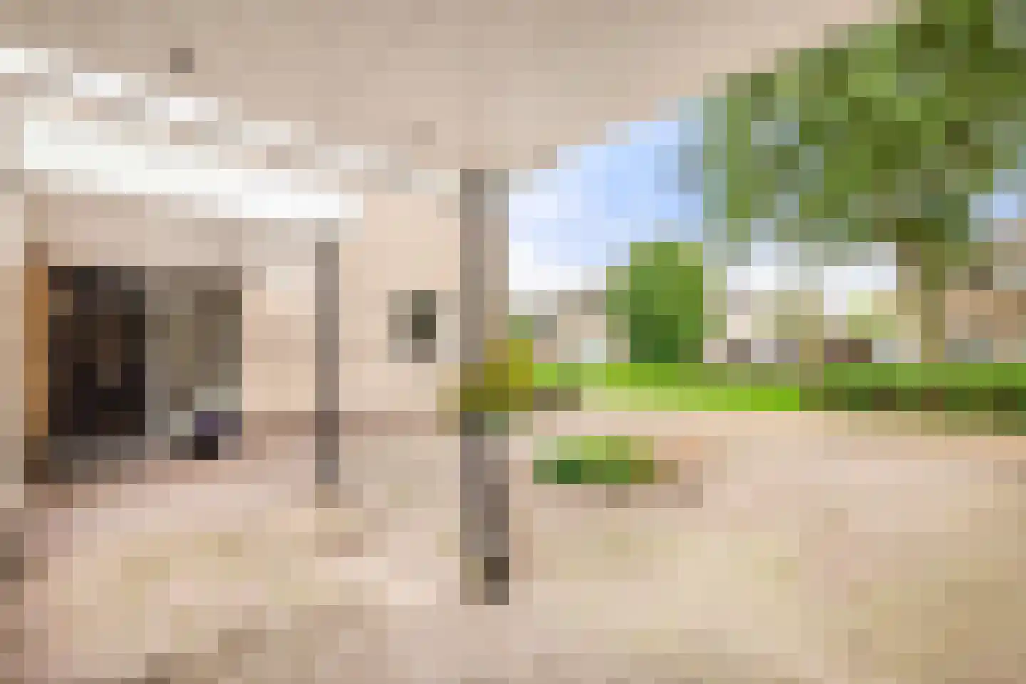 Kleine Zonnedauw 3 Velserbroek thumbnail 13