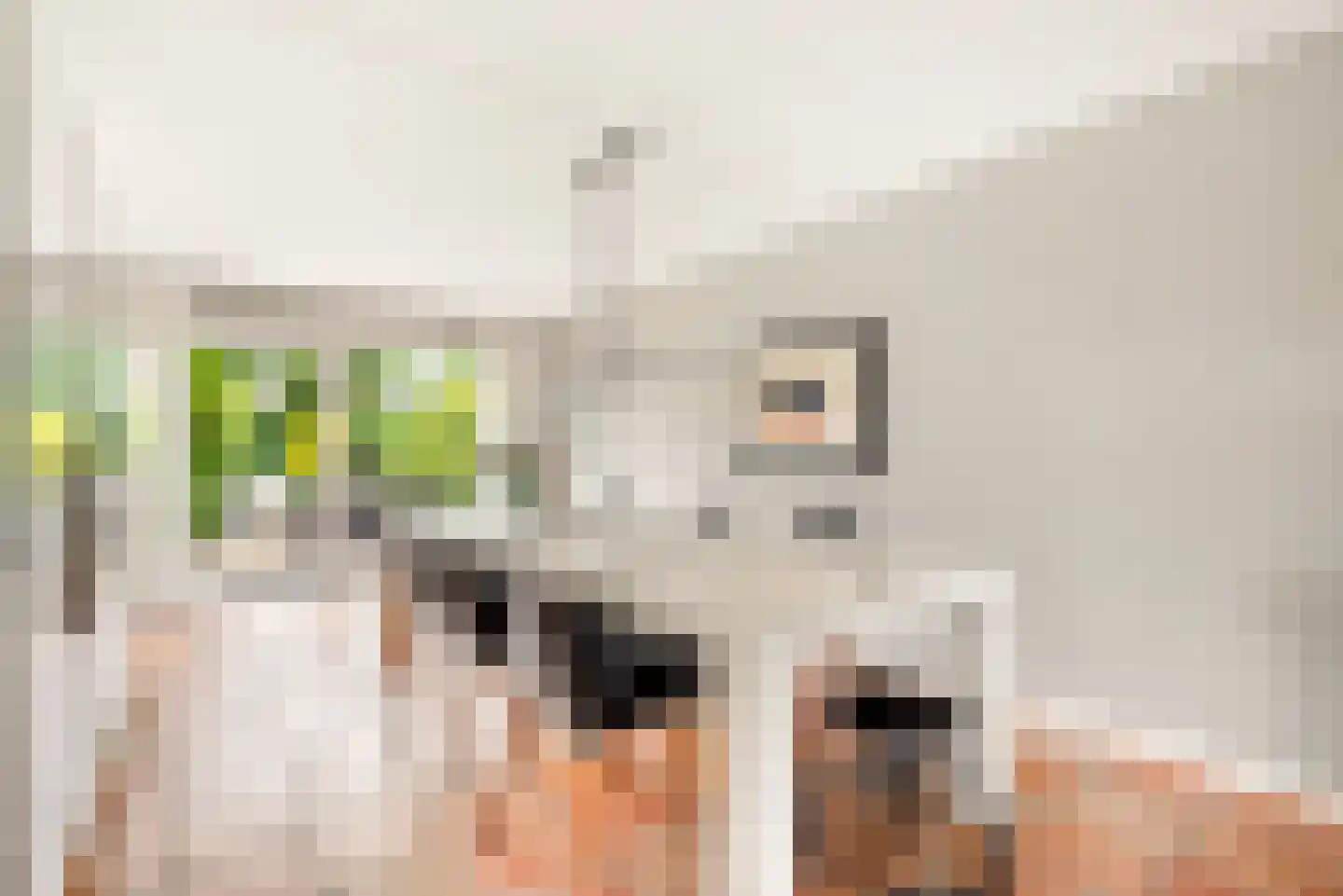 Kleine Zonnedauw 3 Velserbroek thumbnail 27