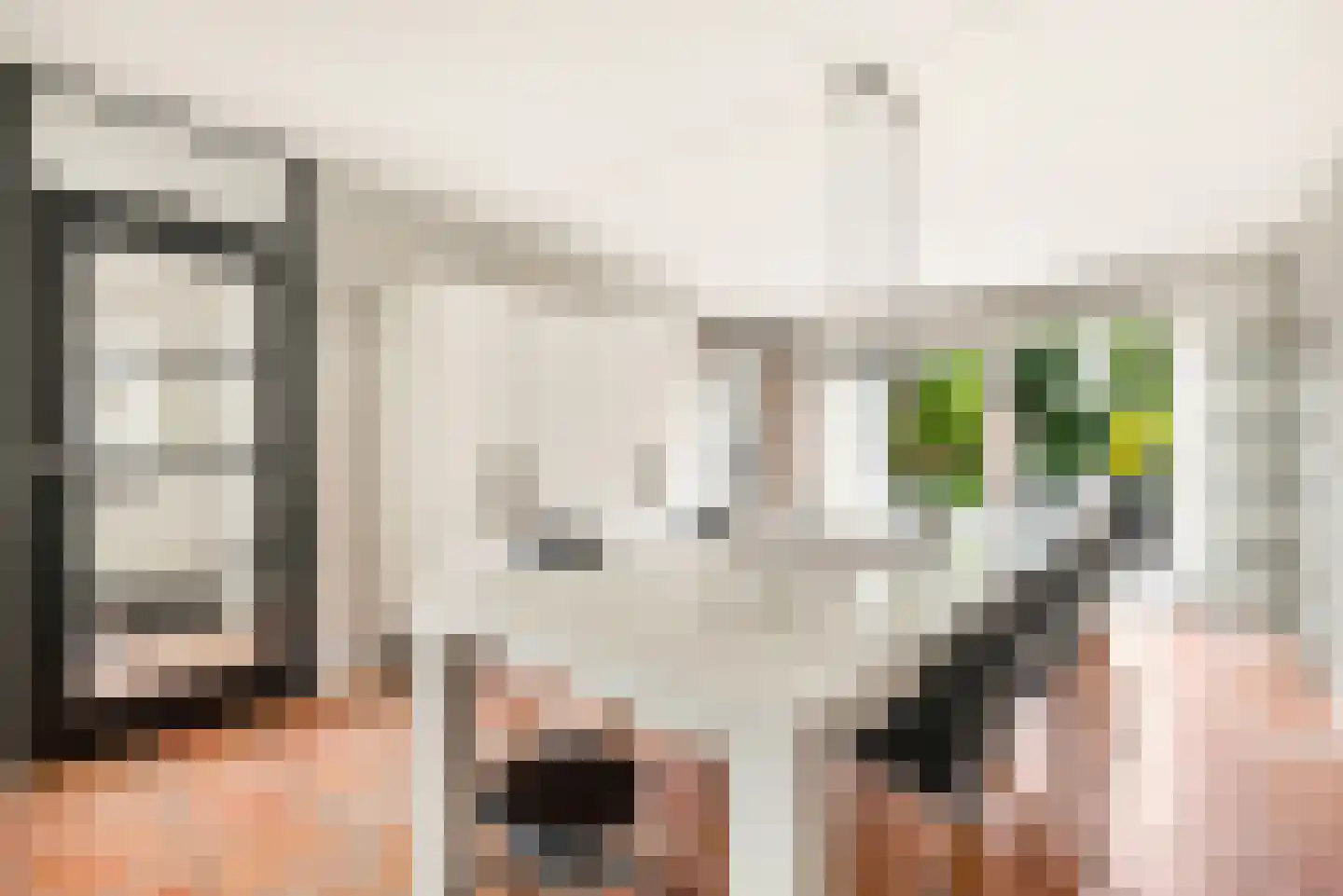 Kleine Zonnedauw 3 Velserbroek thumbnail 29