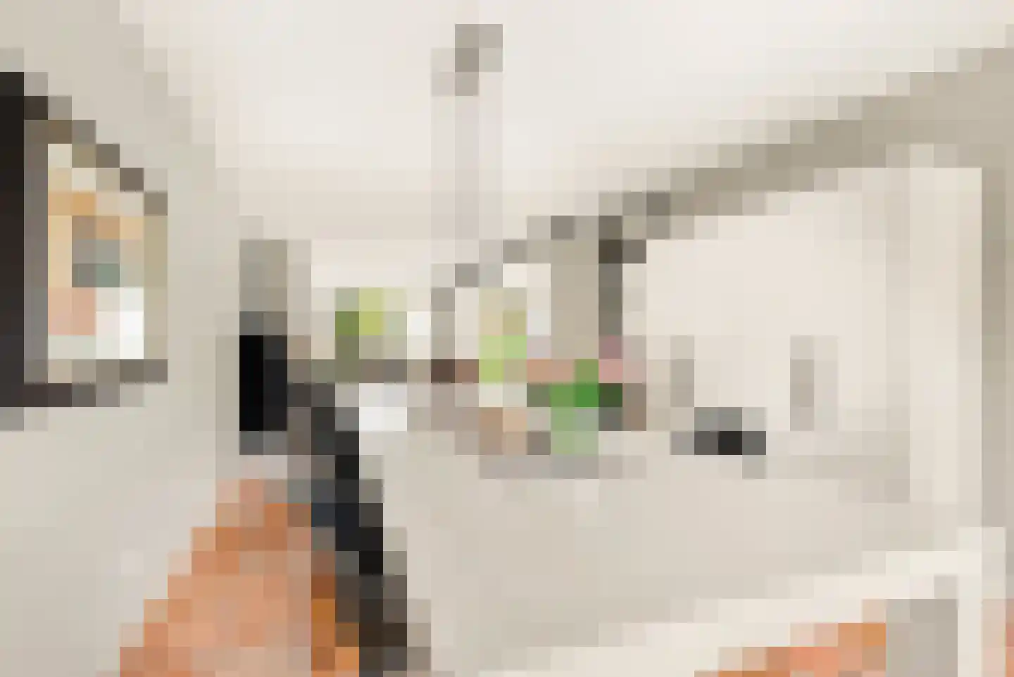 Kleine Zonnedauw 3 Velserbroek thumbnail 30