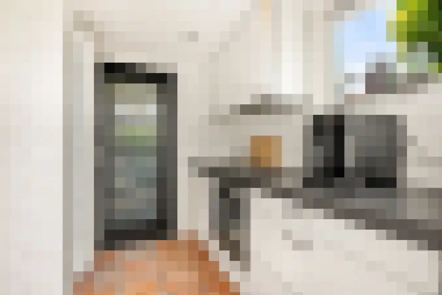 Kleine Zonnedauw 3 Velserbroek thumbnail 38