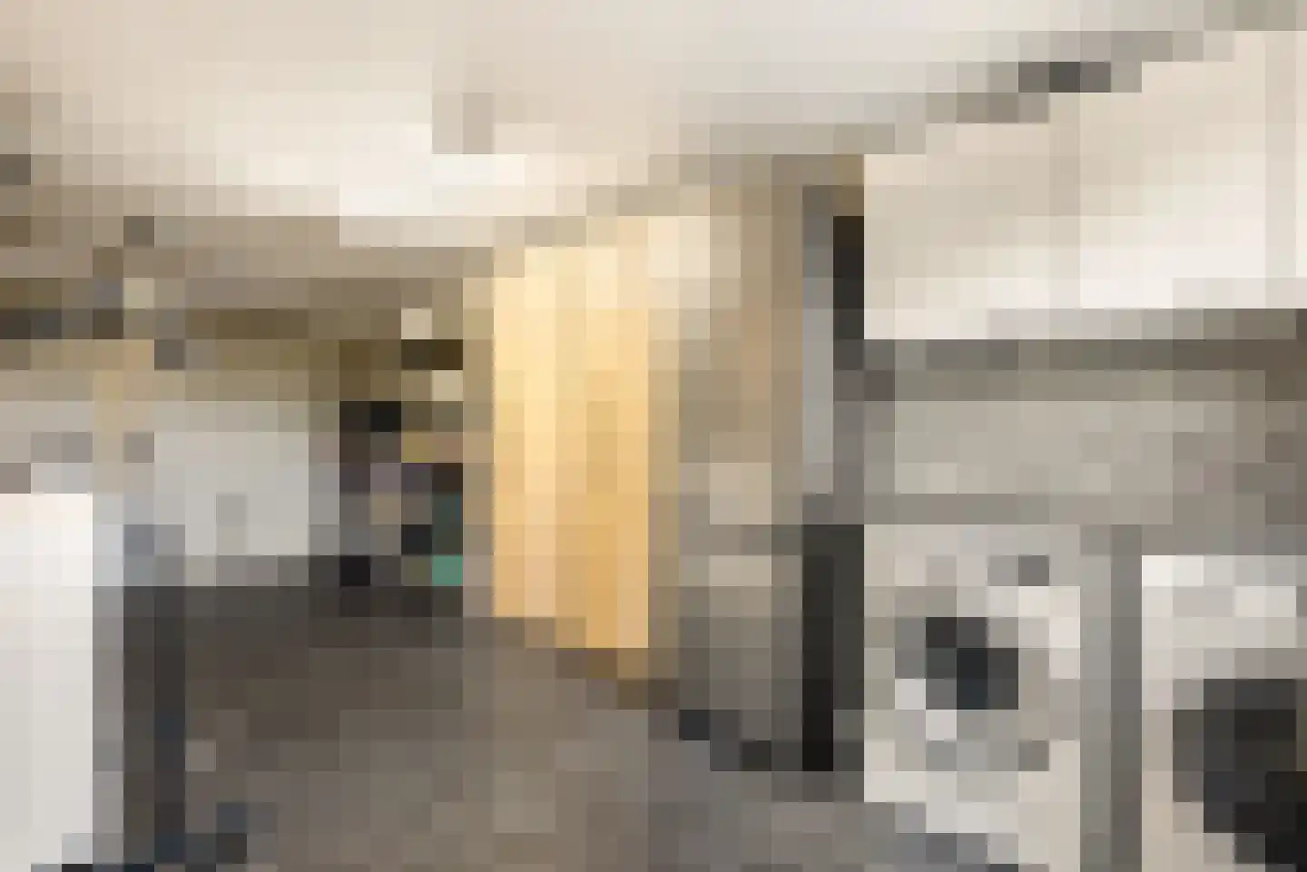 Kleine Zonnedauw 3 Velserbroek thumbnail 39