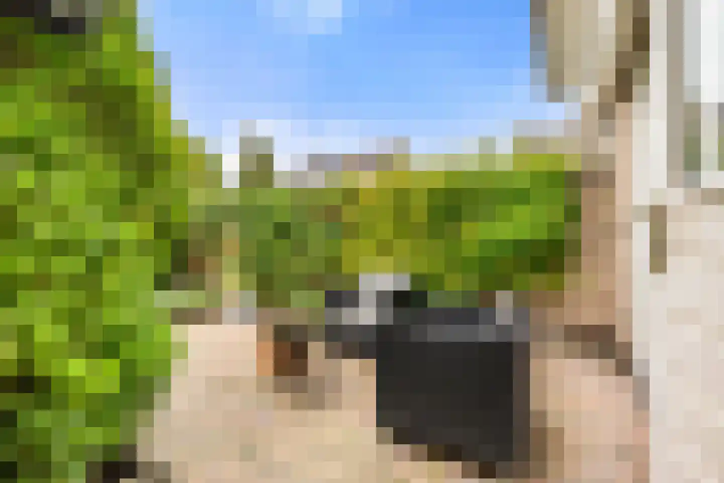 Kleine Zonnedauw 3 Velserbroek thumbnail 41