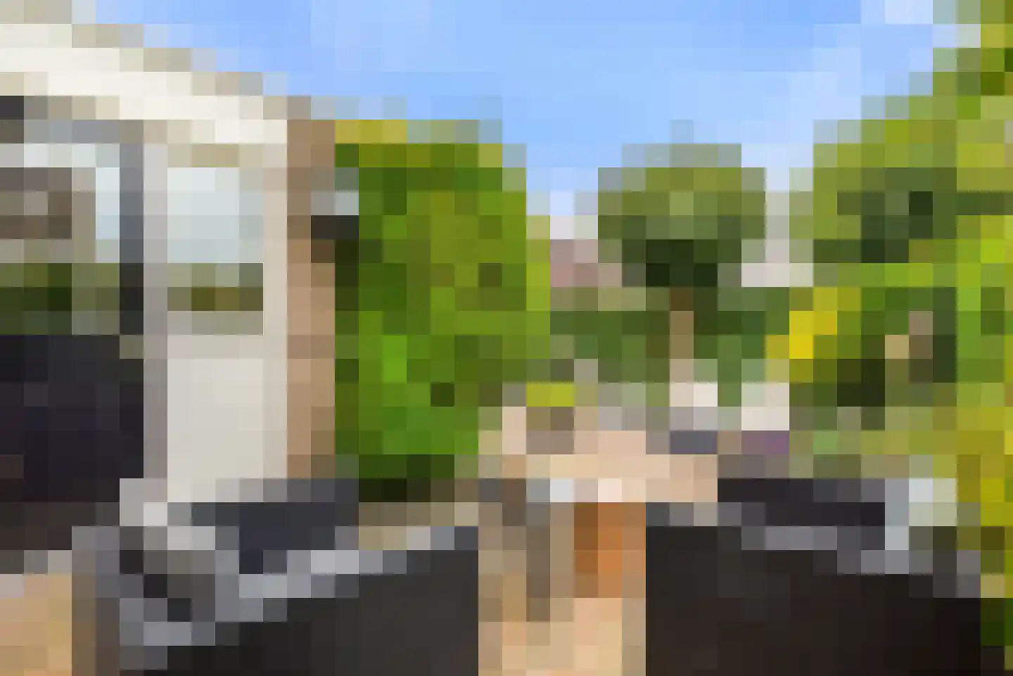 Kleine Zonnedauw 3 Velserbroek thumbnail 42