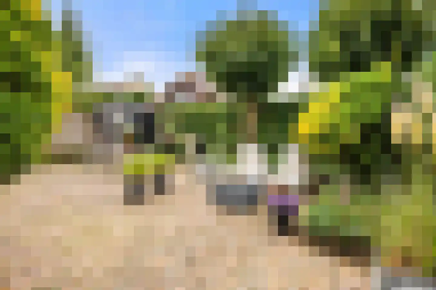 Kleine Zonnedauw 3 Velserbroek thumbnail 43