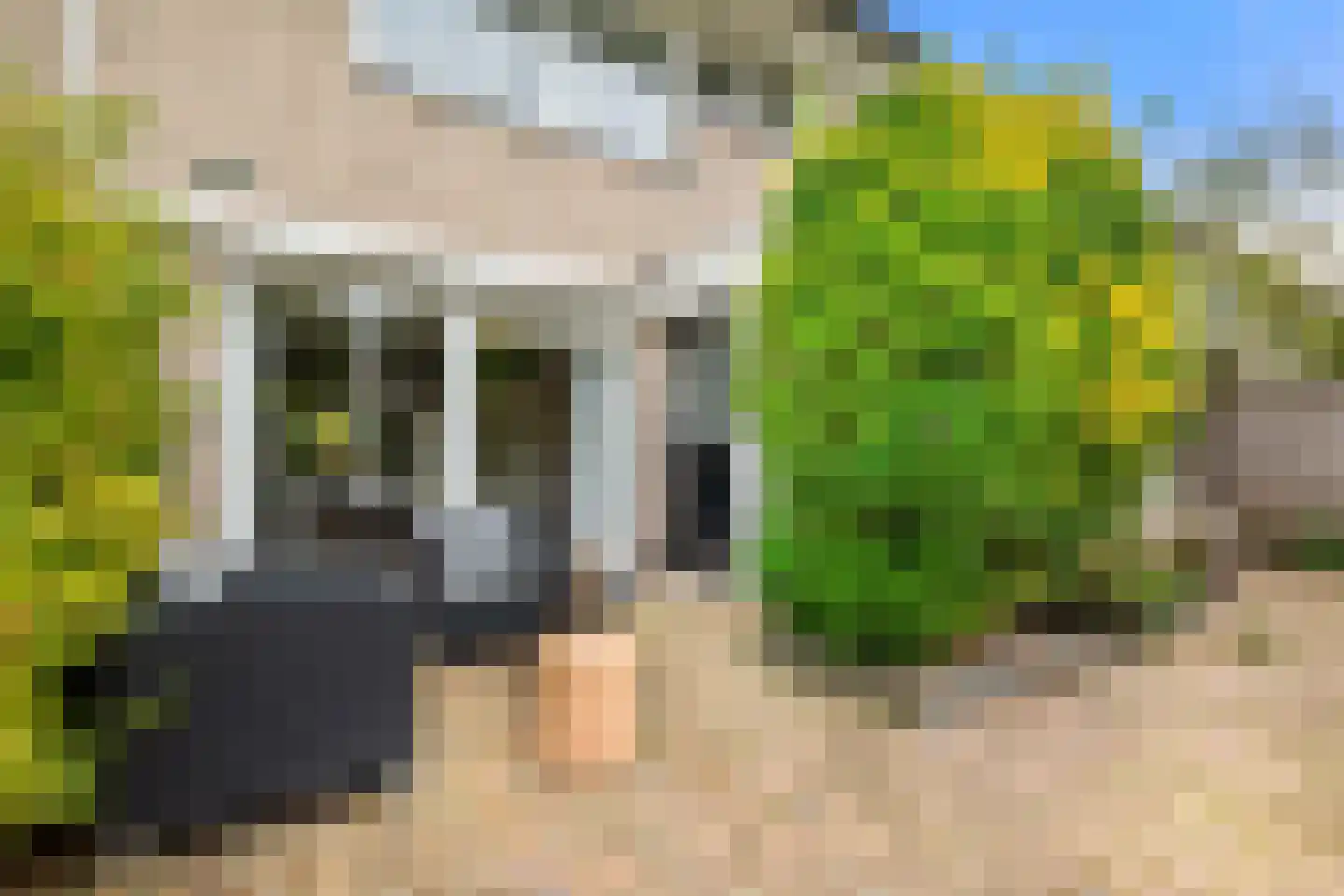 Kleine Zonnedauw 3 Velserbroek thumbnail 44