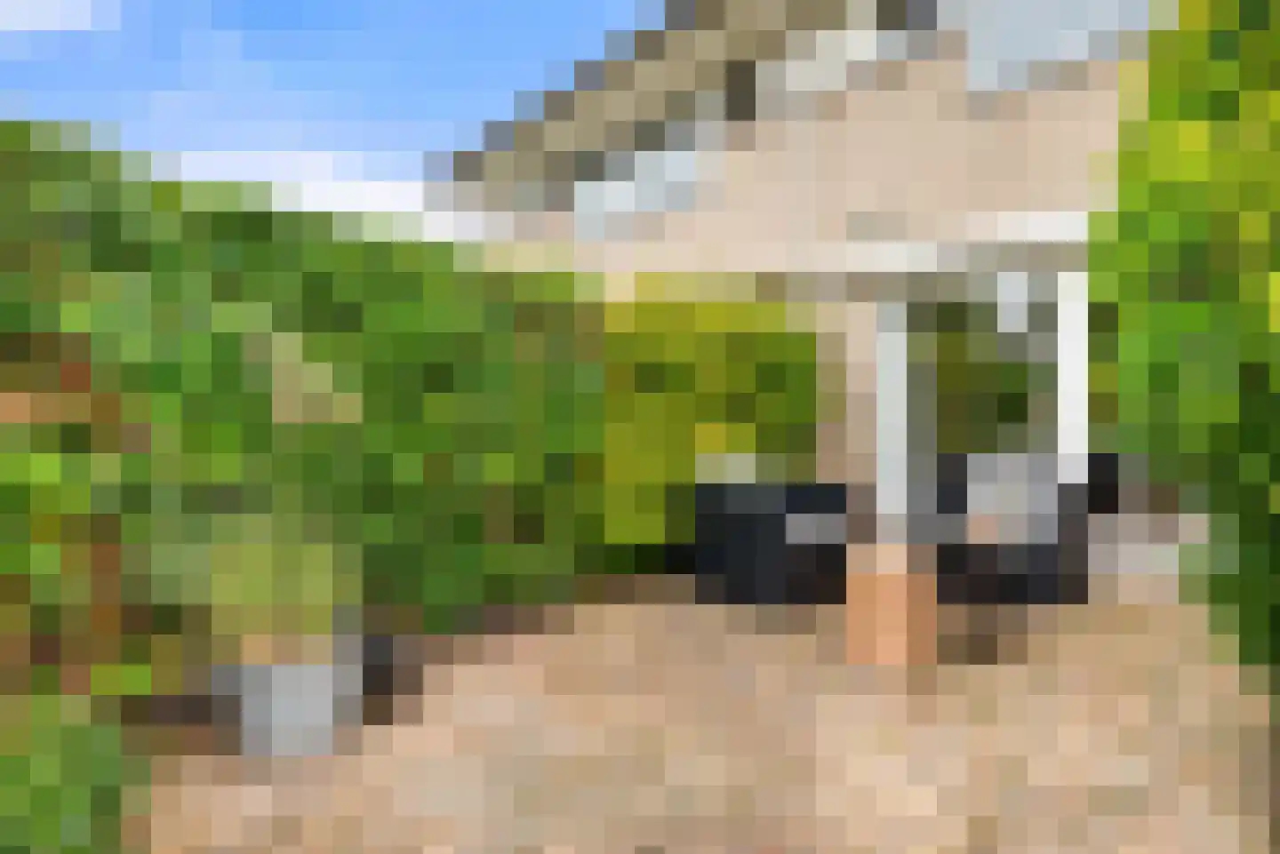 Kleine Zonnedauw 3 Velserbroek thumbnail 45