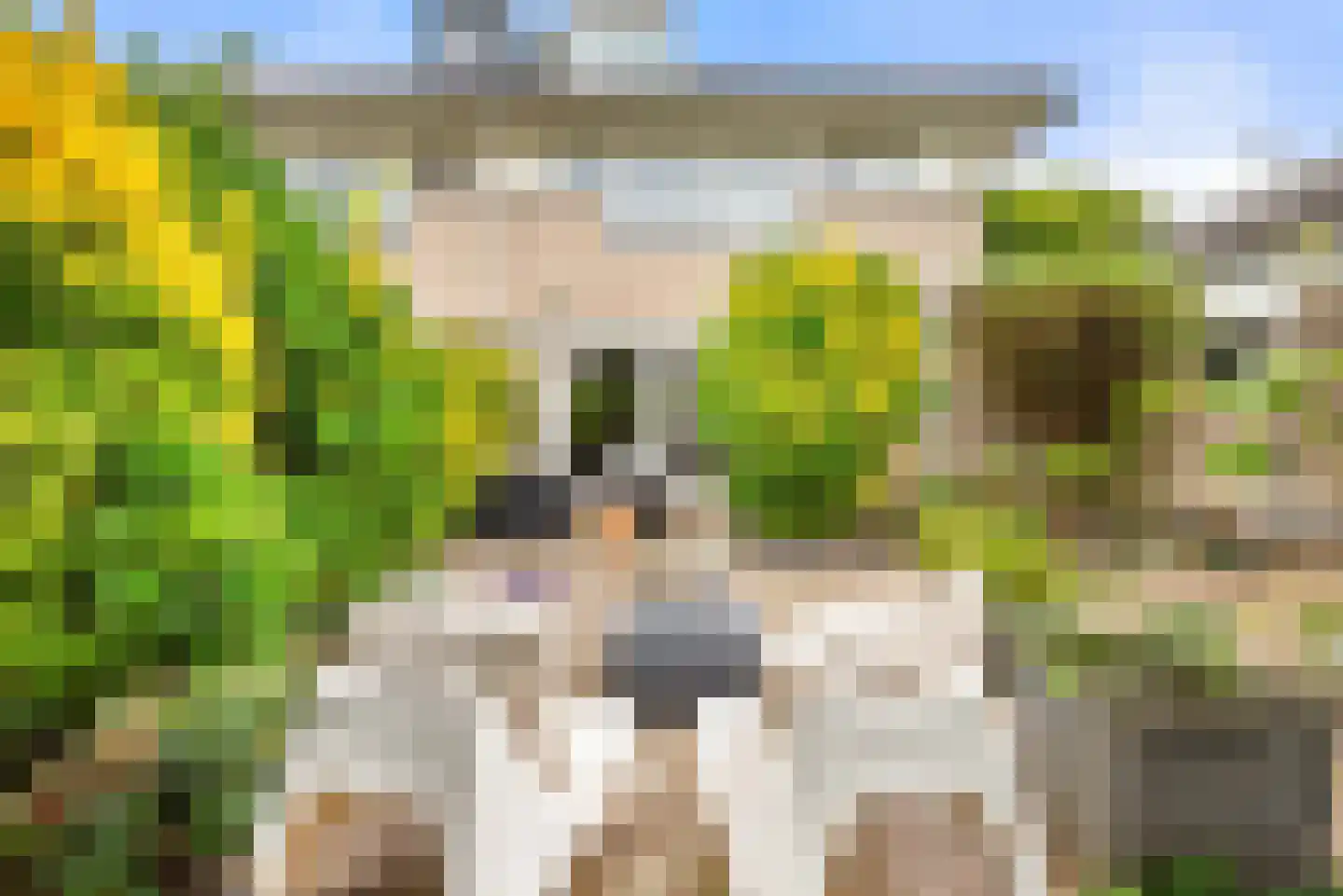 Kleine Zonnedauw 3 Velserbroek thumbnail 46